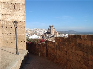 Castillo de Baños De La Encina (6)